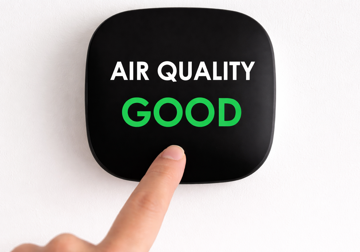 eda14e31-1c62-45b9-8fc6-a3e16998b60a